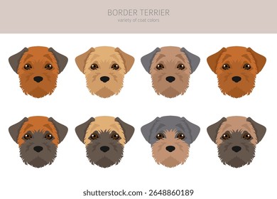 Border terrier clipart. Diferentes cores de casaco e poses conjunto.  Ilustração vetorial