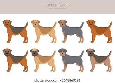 Border terrier clipart. Diferentes cores de casaco e poses conjunto.  Ilustração vetorial