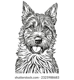 Border Terrier dog breed line drawing, clip art animal hand drawing vector black and white realistic breed pet
