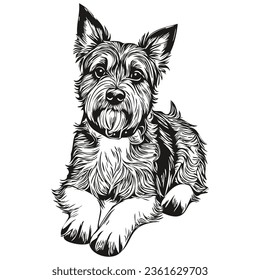 Border Terrier dog head line drawing vector,hand drawn illustration with transparent background realistic breed pet