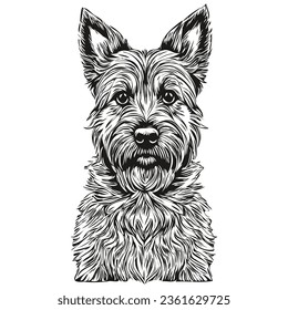 Border Terrier dog ink sketch drawing, vintage tattoo or t shirt print black and white vector realistic breed pet