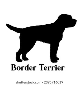 Border Terrier Dog silhouette dog breeds dog monogram logo dog face vector