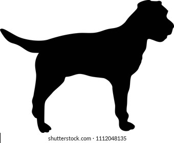 Border Terrier Silhouette Real In Black