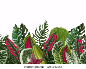 Border with tropical leaves on the white background. Vector.