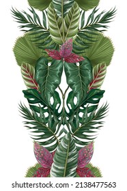 Border with tropical leaves such as monstera, palm leaf and other. Vector