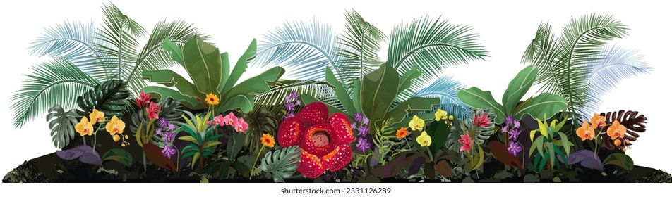 Border with tropical plants: banana tree, monstera, bamboo, dracaena, rafflesia, orchid flowers, coconut palms. Panoramic view, realistic botanical illustration in watercolor style on white background