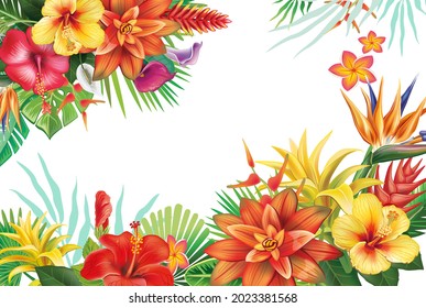 Border with tropical plants and flowers Floral vector illustration