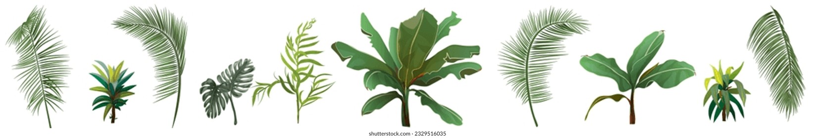 Border with tropical plants. Set of green leaves from coconut palm, banana tree, monstera, bamboo, dracaena on white background. Panoramic view, realistic botanical illustration in watercolor style