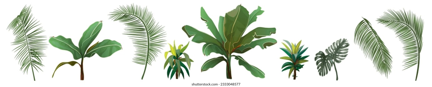 Grenze mit tropischen Pflanzen. Satz grüner Blätter aus Kokospalmen, Bananenbaum, Monstera, Bambus, Drachen auf weißem Hintergrund. Panoramablick, realistische botanische Illustration im Aquarell-Stil