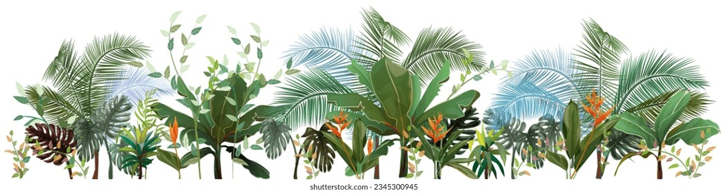 Border with tropical plants. Set of green leaves from coconut palm, banana tree, monstera, bamboo, dracaena on white background. Panoramic view, realistic botanical illustration in watercolor style