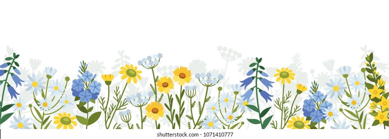 Border of wild flowers. Chamomiles, buttercups, bells and other flowers.