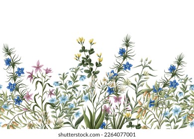 Border with wild meadow flowers. Vector