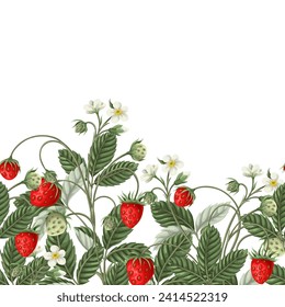 Border with wild strawberries. Vector