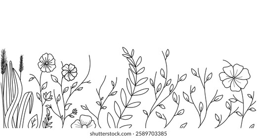 A border of wildflowers and herbs blooming in a meadow. Horizontal seamless banner decoration