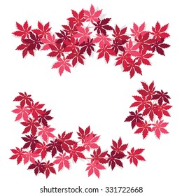 Borders of branches of red leaves isolated on white background