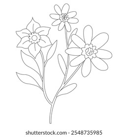 Borders Flower Embroidery Pattern Design