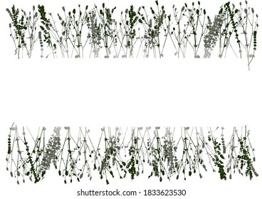 Borders with silhouettes of wild herbs and copyspace - background for natural design