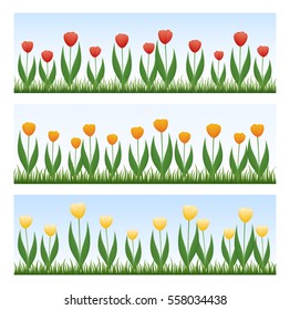 Borders of tulips