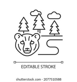 Boreal forest linear icon. Taiga. Forest with evergreen trees. Pine and spruce woodland. Thin line customizable illustration. Contour symbol. Vector isolated outline drawing. Editable stroke