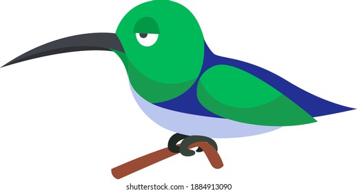 Bored colibri,illustration,vector on white background