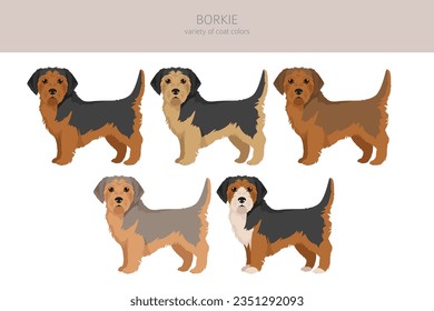 Borkie clipart. Beagle Yorkshire terrier mix. Different coat colors set.  Vector illustration