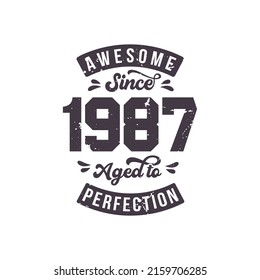 Born in 1987 Awesome Retro Vintage Birthday, Awesome since 1987 Aged to Perfection