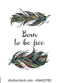 Born to be free. feather vector illustration