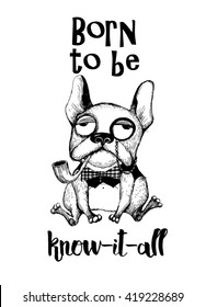 Born to be know-it-all. Dog T-shirt lettering design. Hand drawing funny French Bulldog