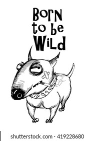 Born to be wild. Dog T-shirt lettering design. Hand drawing funny bullterrier