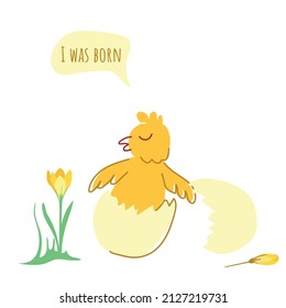 I was born. Cute chicken in an eggshell with a crocus flower. Vector illustration isolated on a white background for postcards, posters, decor