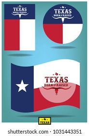 born and raised texas with map, star and longhorn in texas flag style. vector eps 10