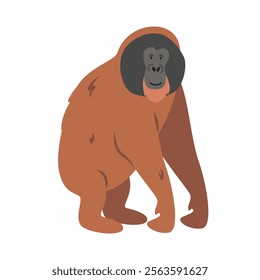 Bornean orangutan cartoon clipart. Great ape orangutan vector illustration in flat style. Hand-drawn wild animal concept