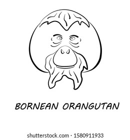 Bornean orangutan face in simple black and white style, vector illustration