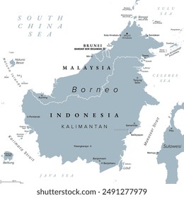 Borneo, divided among Malaysia, Brunei and Indonesia, gray political map. Third-largest island in the world, and one of the Greater Sunda Islands, in the geographic centre of Maritime Southeast Asia.