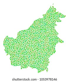 Borneo Island Map collage of round dots in different sizes and green color tinges. Circle dots are united into borneo island map vector composition. Organic vector design concept.