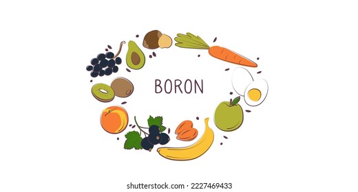 Boron-containing food. Groups of healthy products containing vitamins and minerals. Set of fruits, vegetables, meats, fish and dairy.