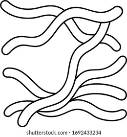 Borrelia burgdorferi bacteria. Vector outline icon.