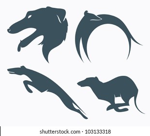 Borzoi dog - vector illustration