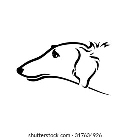 Borzoi - Russian wolfhound - vector illustration