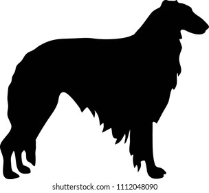 Borzoi silhouette real in black