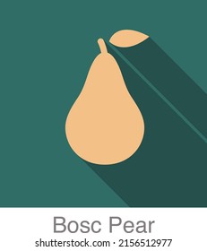 Bosc Pear fruit flat icon, vector illustration
