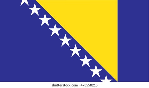 Bosnia Flag Vector