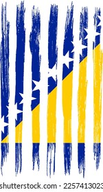 Bosnia and Herzegovina flag with brush paint textured isolated  on png or transparent background