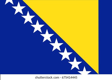 Bosnia and Herzegovina Flag vector illustration. Bosnia and Herzegovina Flag. National Flag of Bosnia and Herzegovina.  