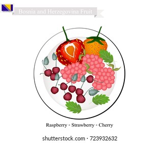 Bosnian Fruit, Illustration of Raspberry, Strawberry and Cherry. The Famous Fruits of Bosnia and Herzegovina.
