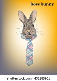 Boss bunny 