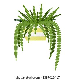 Boston Fern, Air purification tree,vector cartoon illustration. air purifying indoor plants