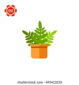 Boston Fern Icon