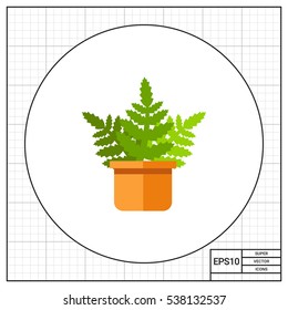 Boston Fern Icon