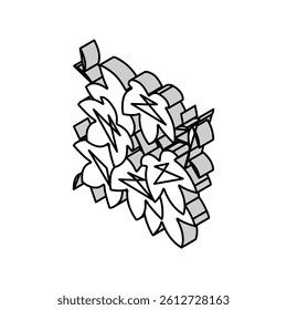boston ivy isometric icon vector. boston ivy sign. isolated symbol illustration
